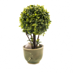 Przykładowa nazwa produktu 5