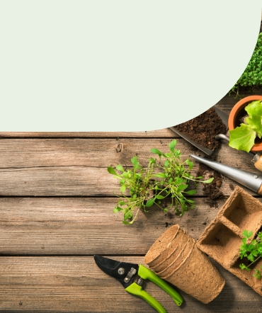 narzędzia ogrodnicze na drewnianym stole